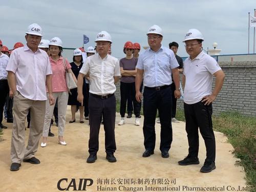 海口市市长丁晖一行莅临长安制药美安科技新城新厂，视察指导海口网站建设与产业数字化升级